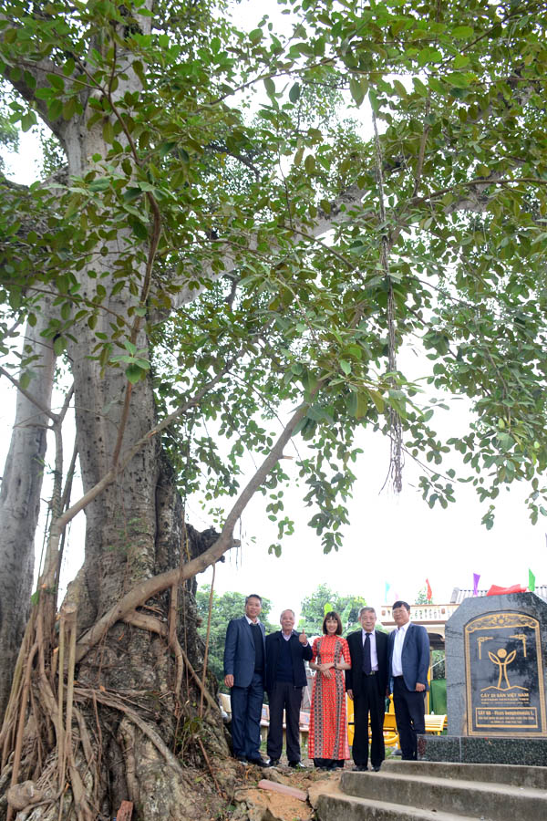 Cụ[-]Đa[-]Ba[-]Cội[-]&ndash;[-]hồn[-]l&agrave;ng[-]Y&ecirc;n[-]Tĩnh[-]được[-]ghi[-]danh[-]C&acirc;y[-]Di[-]sản[-]Việt[-]Nam